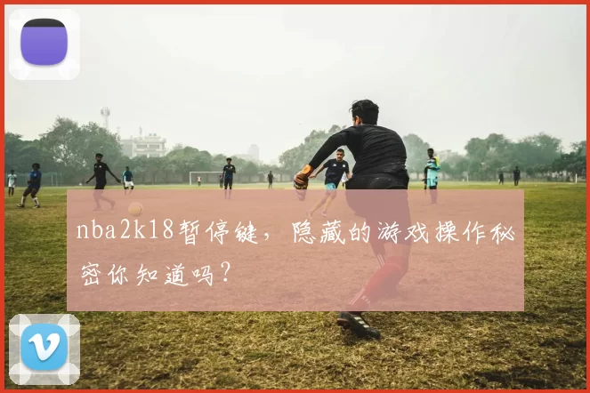 nba2k18暂停键,隐藏的游戏操作秘密你知道吗?