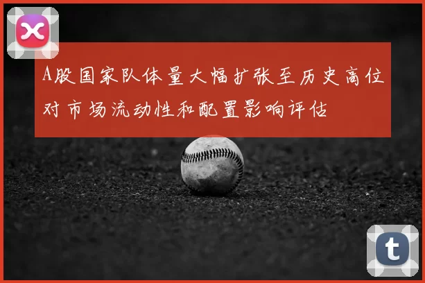 A股国家队体量大幅扩张至历史高位对市场流动性和配置影响评估